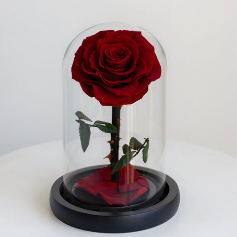 The Forever Rose
