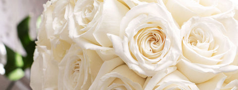 florist in greensborough