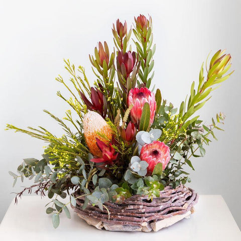 Native Willow - SOLD OUT