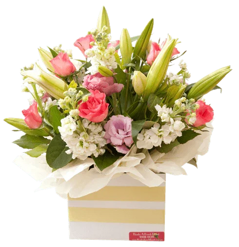 Pastel Box Sympathy