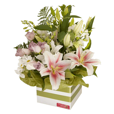 Pastel Lily Sympathy