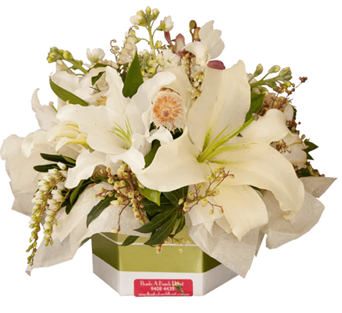 White Lilly Sympathy